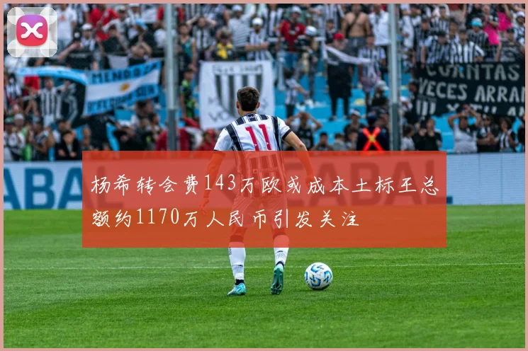 杨希转会费143万欧或成本土标王总额约1170万人民币引发关注
