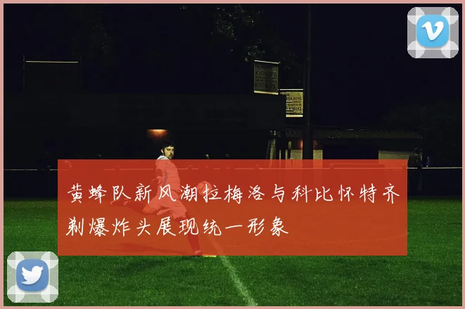 黄蜂队新风潮拉梅洛与科比怀特齐剃爆炸头展现统一形象